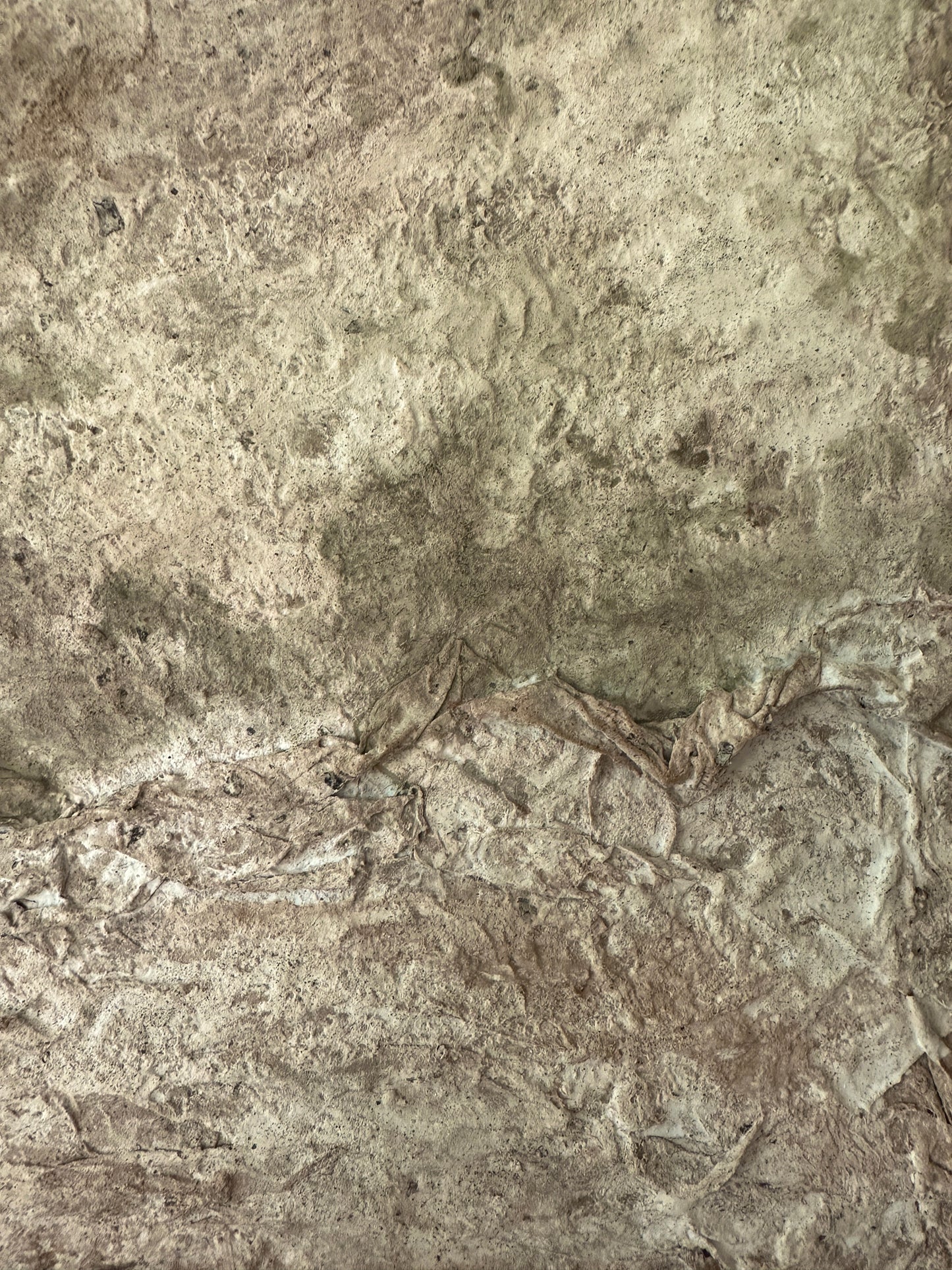 Terrain