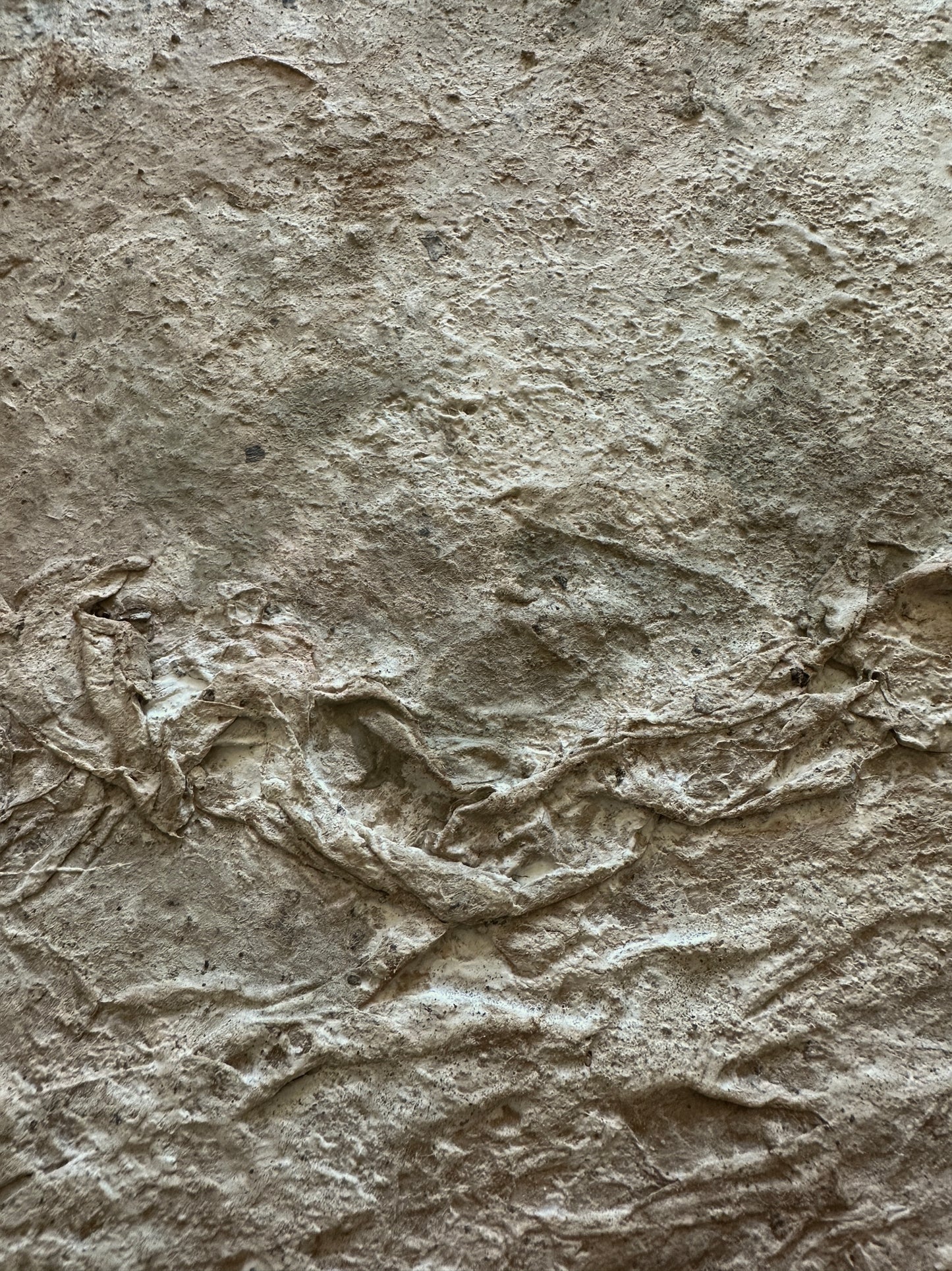 Terrain