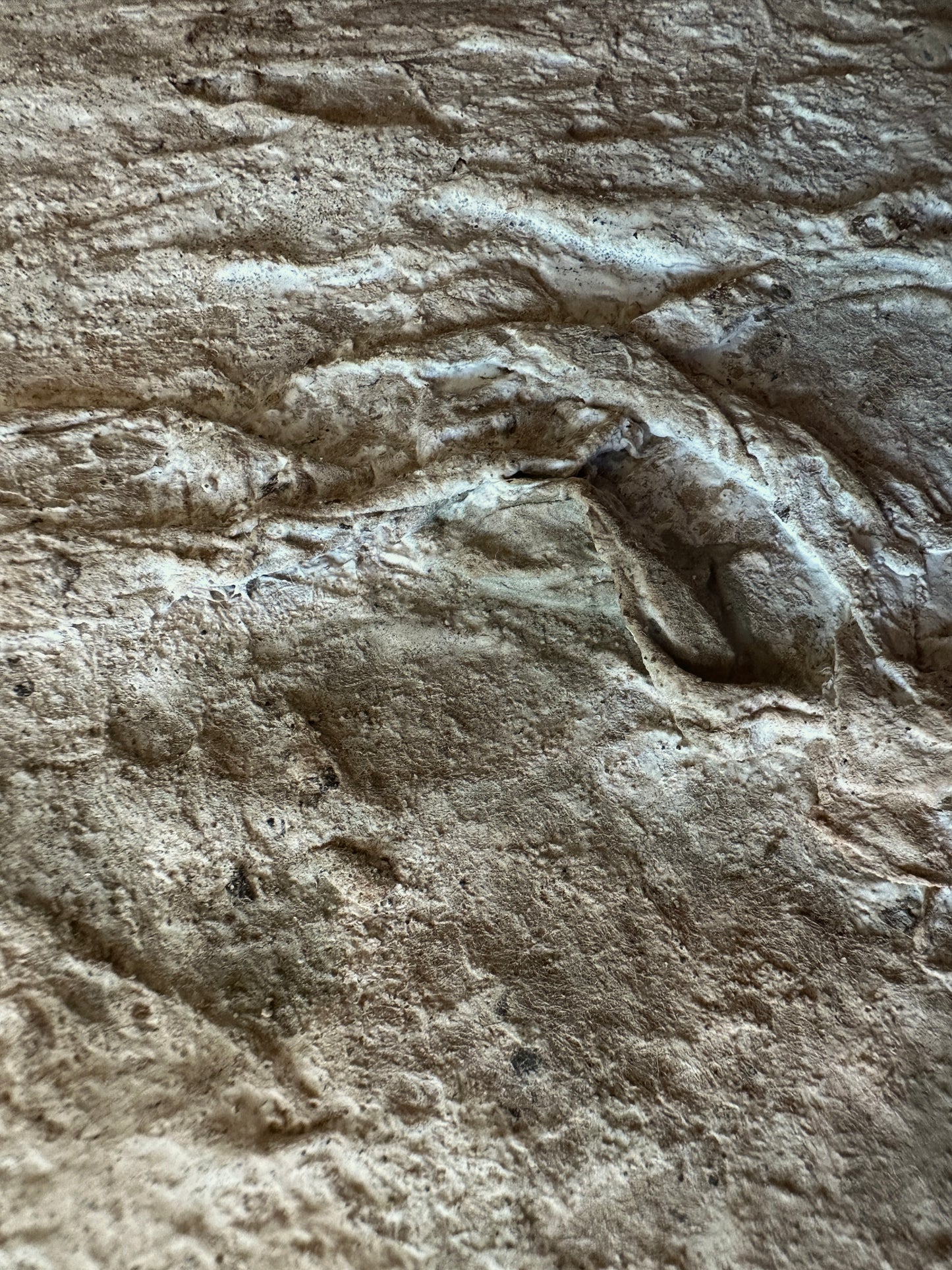 Terrain