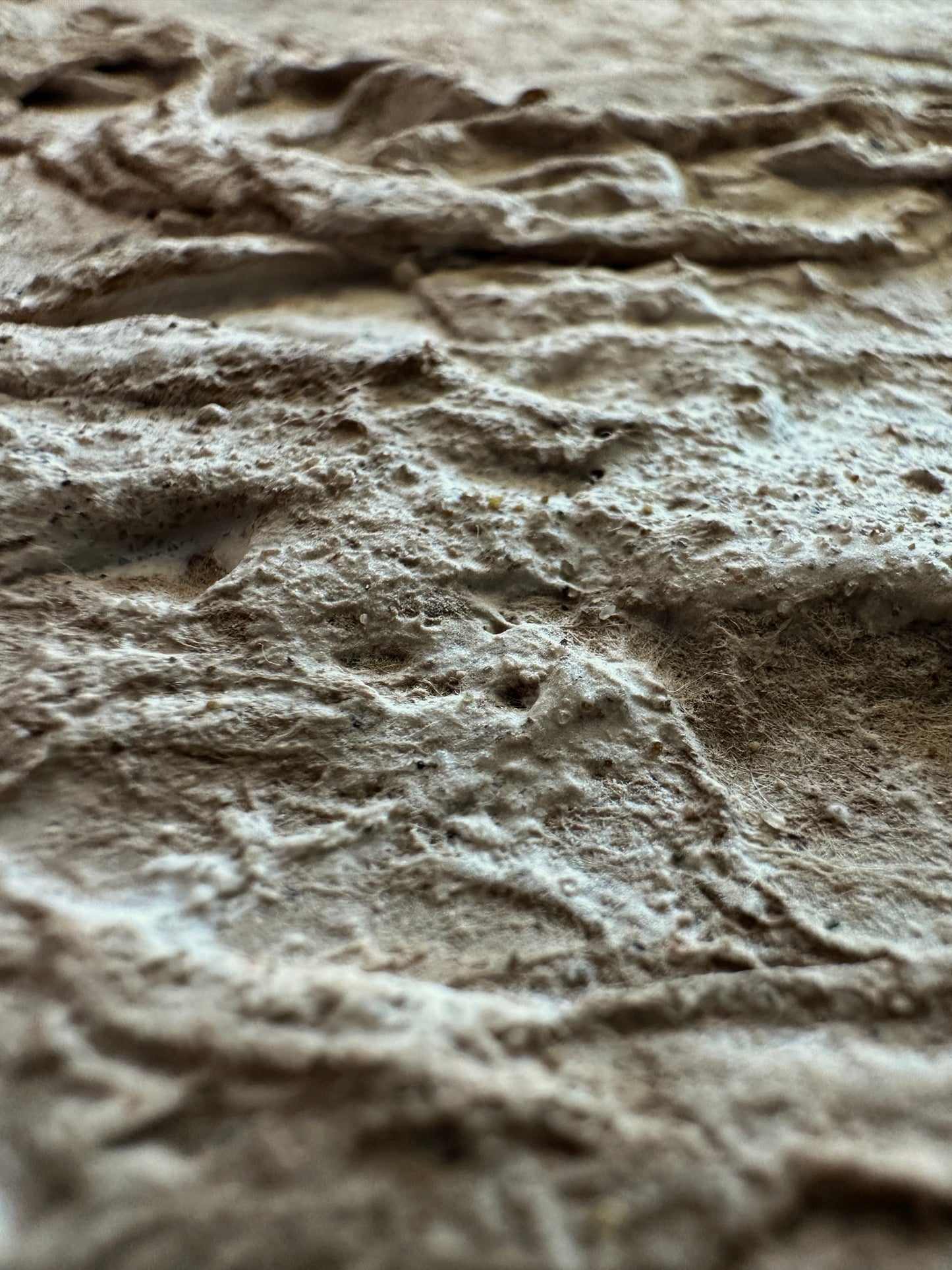Terrain