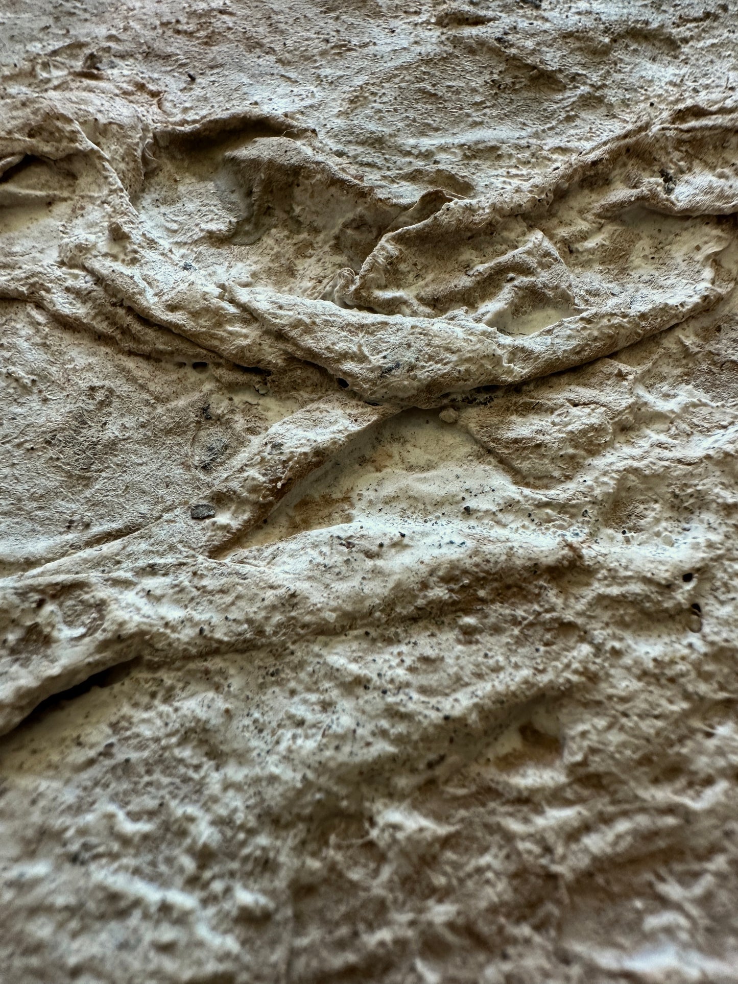 Terrain