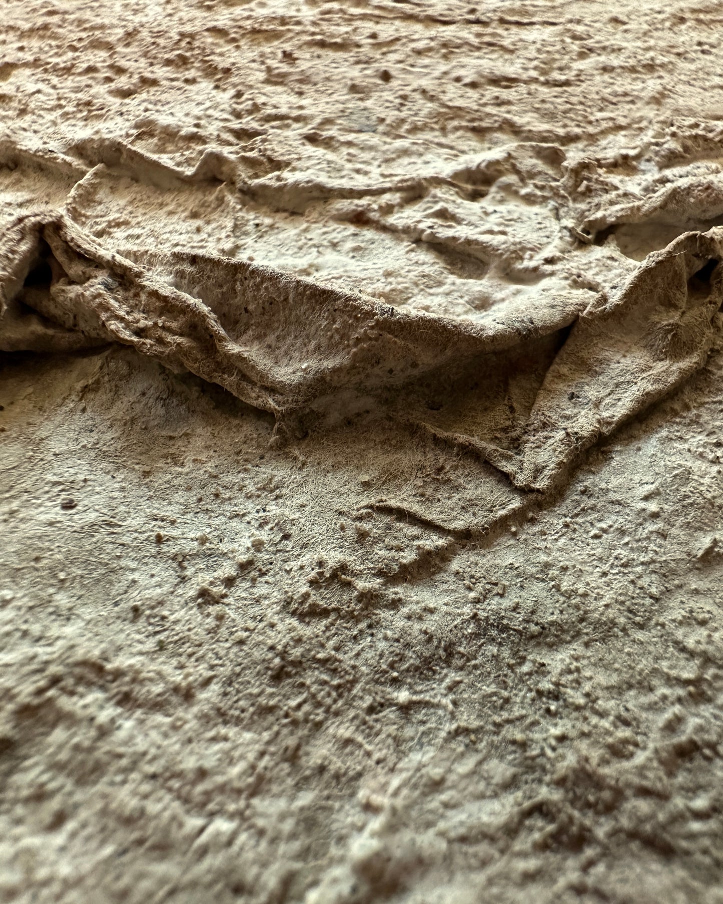 Terrain