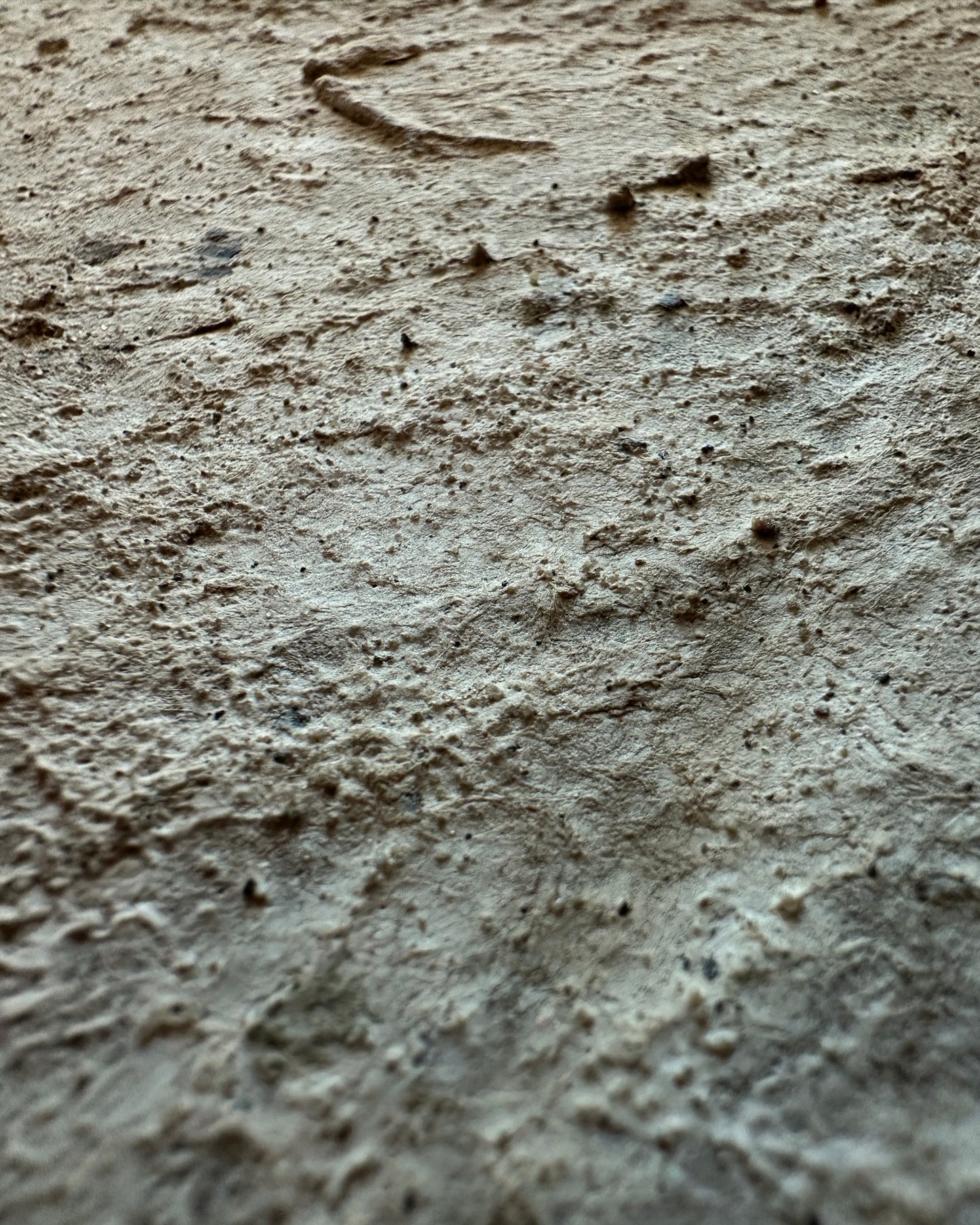 Terrain