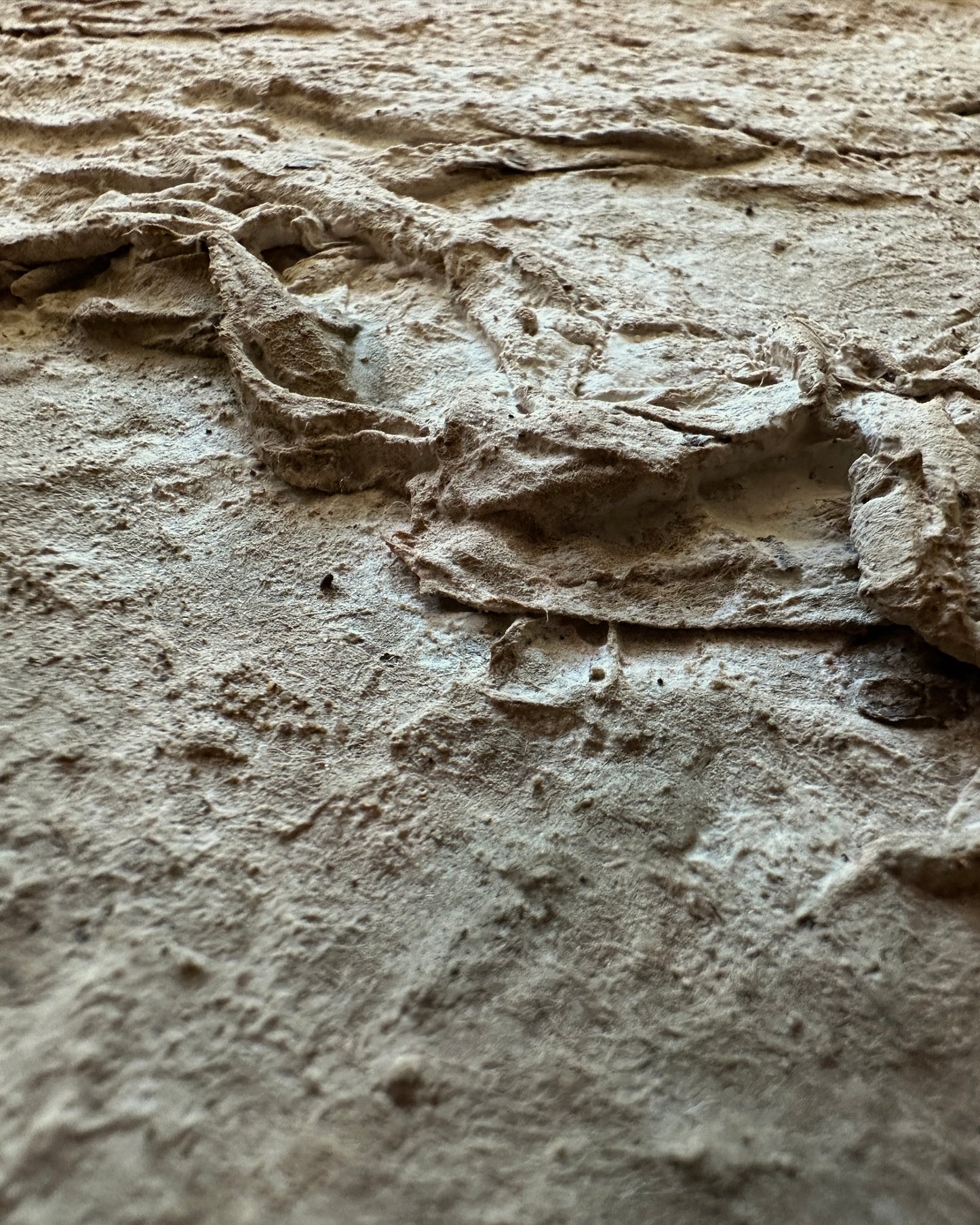 Terrain