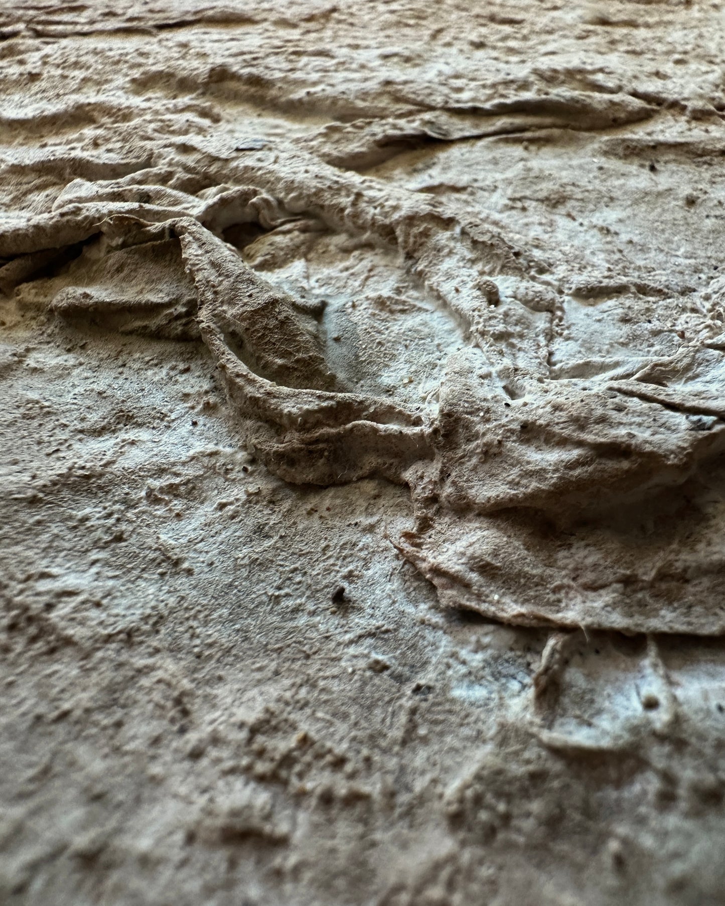 Terrain
