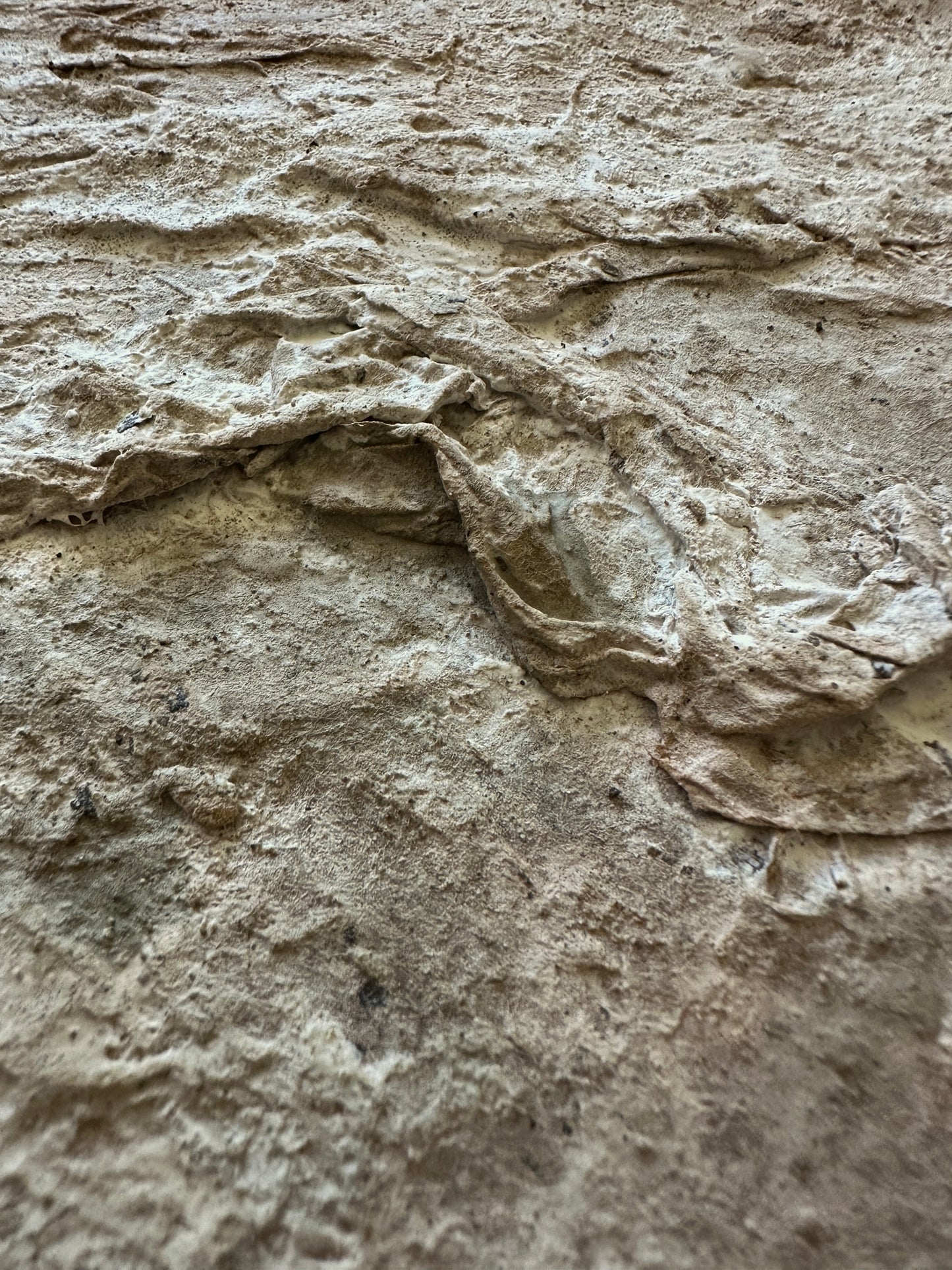 Terrain