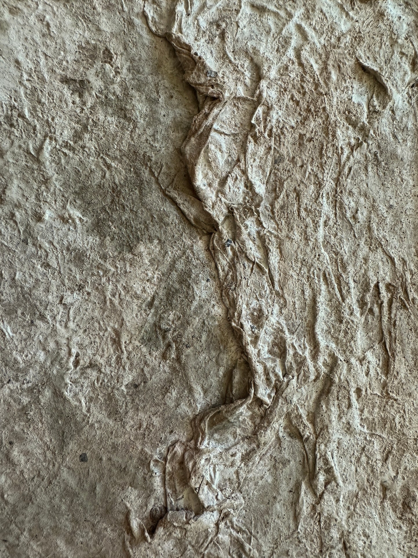 Terrain