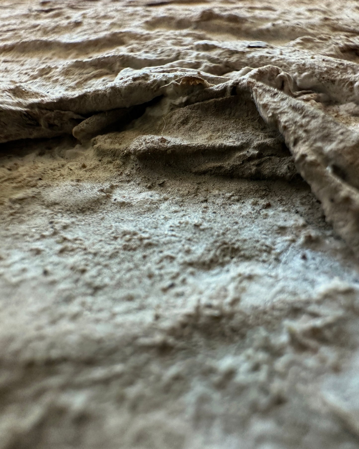 Terrain