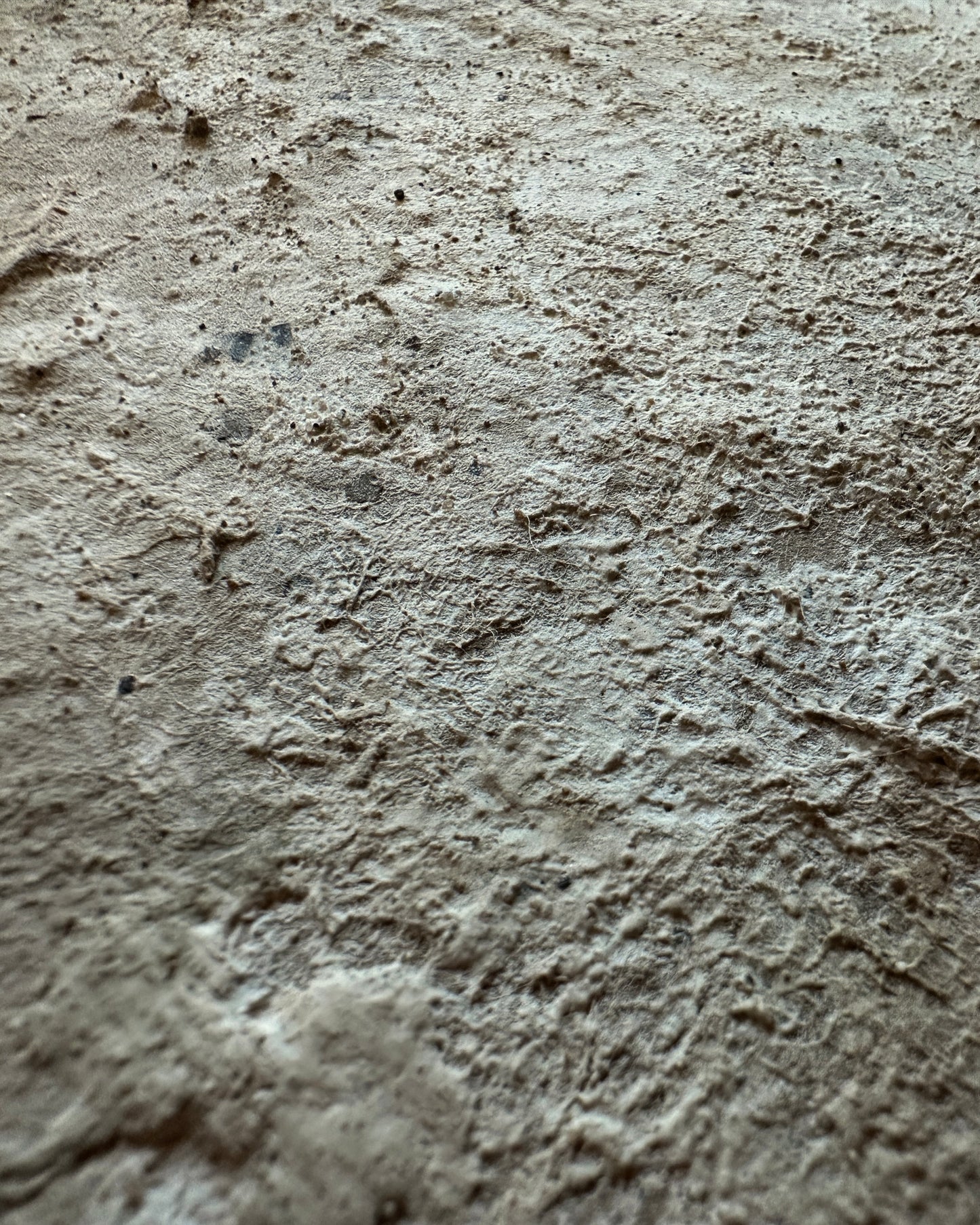 Terrain
