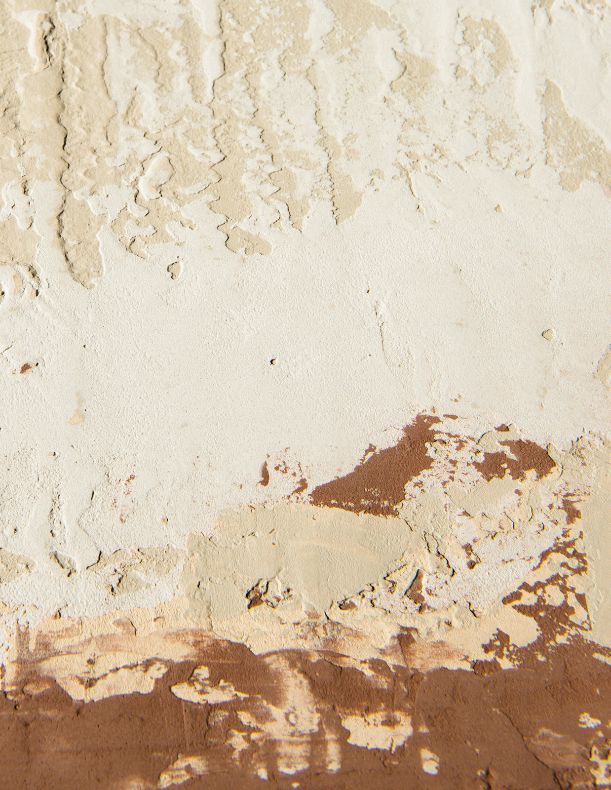 Texture Studies - Dolomite Plaster