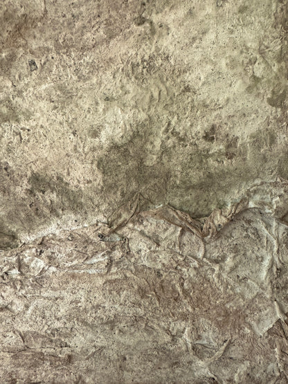 Terrain