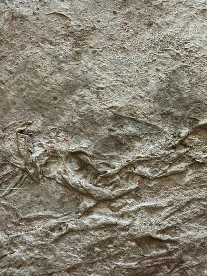 Terrain