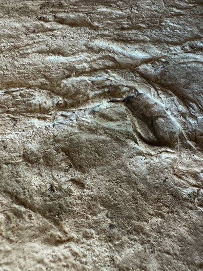 Terrain