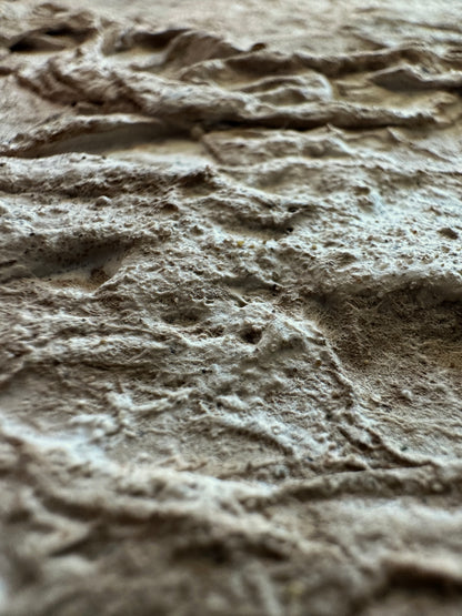 Terrain