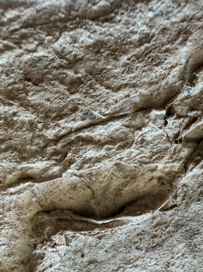 Terrain