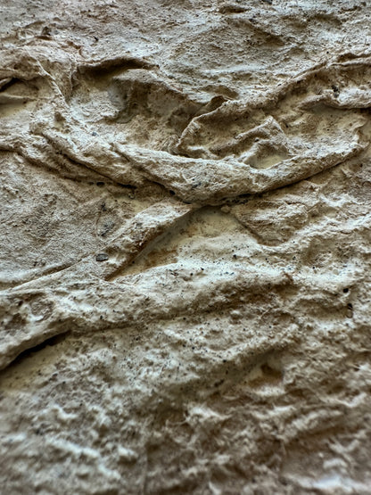 Terrain