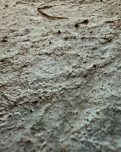Terrain