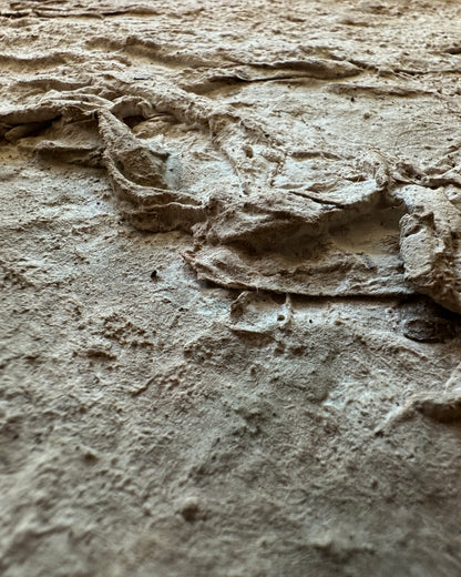 Terrain
