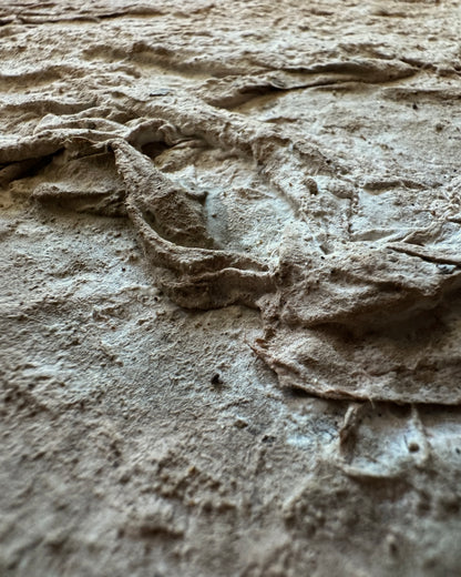 Terrain