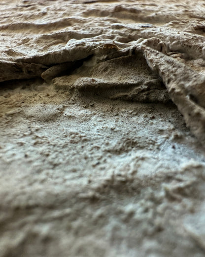Terrain