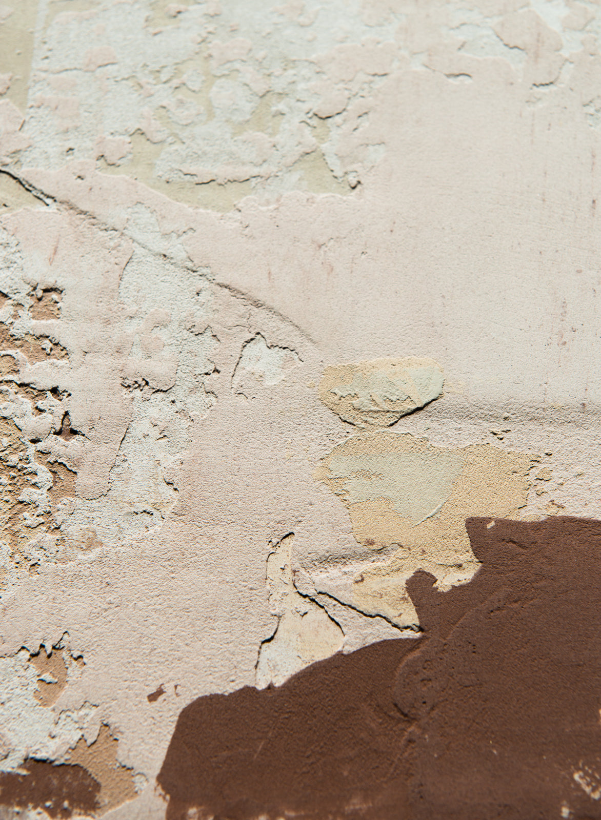 Texture Studies - Dolomite Plaster